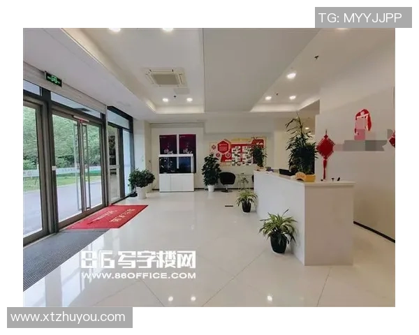 南京排球队在钻石联赛中的实力展现与未来发展潜力分析