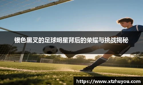 银色黑叉的足球明星背后的荣耀与挑战揭秘